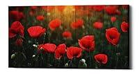 Algopix Similar Product 3 - Epic Graffiti Wood Series Field of
