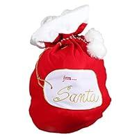 Algopix Similar Product 11 - DEI from Santa Gift Bag 13 X 29