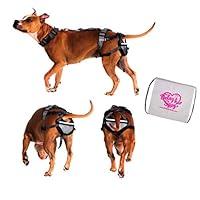 Algopix Similar Product 14 - PABS Pet AntiBreeding System Chastity