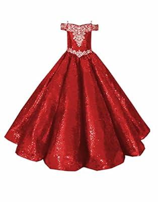 Glamulice Flower Girls Wedding Lace Dress Embroidered Princess Sparkle  Tulle Dresses Birthday Party Formal Ball Gown