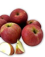 Algopix Similar Product 9 - Kauffman Orchards Homegrown Stayman