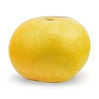 Algopix Similar Product 10 - Grapefruit White Conventional, 1 Each