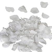 Algopix Similar Product 4 - Royal Imports White Silk Flower