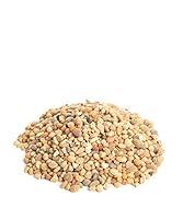 Algopix Similar Product 14 - Shop Succulents Pack Coral Rock 2 lb