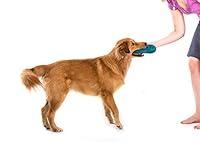 Algopix Similar Product 7 - West Paw Zogoflex Air Dash Dog Frisbee