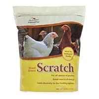 Algopix Similar Product 8 - Manna Pro Ultimate Scratch Chicken Feed
