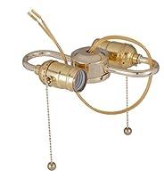 Algopix Similar Product 6 - BP Lamp 2Light S Type Cluster Body