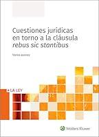 Algopix Similar Product 11 - Cuestiones jurdicas en torno a la