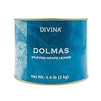 Algopix Similar Product 7 - Divina Dolmas Stuffed Grape Leaves 44