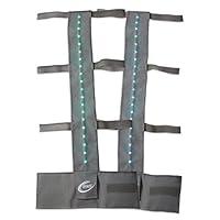 Algopix Similar Product 10 - Skywalker Sports LED Light Sleeve