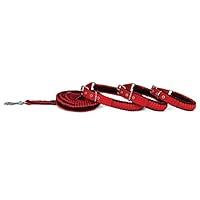 Algopix Similar Product 11 - Aspen Pet Paracord Leash, Red, 3/4" x 5"