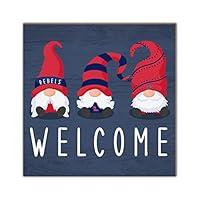 Algopix Similar Product 7 - Fan Creations Ole Miss Welcome Gnomes