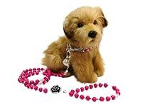 Algopix Similar Product 4 - Pet Royalty 2 pieces dog rose wooden
