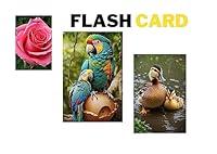 Algopix Similar Product 10 - FLASH CARD