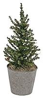 Algopix Similar Product 6 - Great Finds PT001 Primitive Christmas
