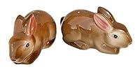 Algopix Similar Product 7 - Cute Pair of Baby Brown Bunny Rabbits