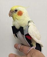 Algopix Similar Product 19 - Love Pets Love Parrot Bird Clothes