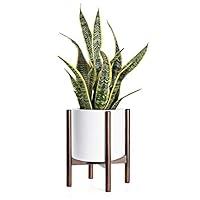 Algopix Similar Product 1 - TIMEYARD Mid Century Plant Stand  Up