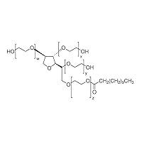 Algopix Similar Product 8 - Bioworld  420300161 bioWORLD Tween 20