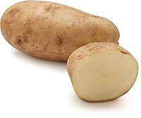 Algopix Similar Product 3 - Organic Russet Potato