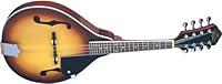 Algopix Similar Product 13 - Oscar Schmidt OM10 AStyle Spruce Top