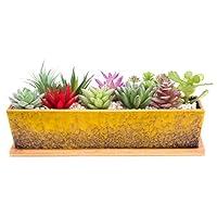 Algopix Similar Product 20 - Succulent Pots  Large Succulent