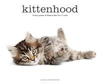 Algopix Similar Product 17 - Kittenhood Lifesize Portraits of