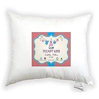 Algopix Similar Product 20 - Trendy Kids 13x18 Toddler Pillow 100