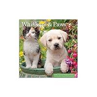 Algopix Similar Product 5 - DaySpring  Whisker  Paws 2024 Mini