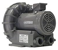 Algopix Similar Product 5 - Regenerative Blower, 135 CFM, 230/460V