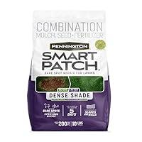 Algopix Similar Product 14 - Pennington Smart Patch Dense Shade Mix