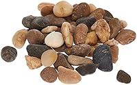 Algopix Similar Product 9 - Mini Assorted Garden Beach Stone Rocks