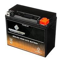 Algopix Similar Product 9 - Chrome Battery YTX20HLBS Maintenance