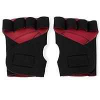 Algopix Similar Product 20 - Crown Sporting Goods Half Finger Padded