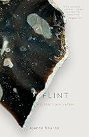 Algopix Similar Product 17 - Flint: a lithic love letter