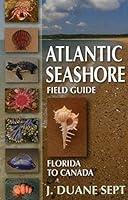 Algopix Similar Product 4 - Atlantic Seashore Field Guide Florida