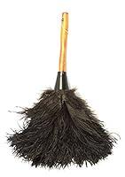 Algopix Similar Product 6 - GM Ostrich Feather Duster Mini Duster