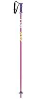 Algopix Similar Product 8 - LEKI Rider Ski Pole Pair  Kids Purple
