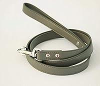 Algopix Similar Product 12 - Gray dog Leash Pet accessory Gray