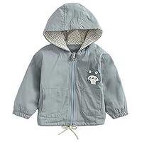 Algopix Similar Product 10 - YJYP Baby Boys Girls Totoro Hoodie