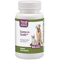 Algopix Similar Product 9 - PetAlive GumznTeeth  All Natural