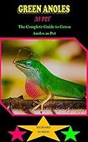 Algopix Similar Product 11 - GREEN ANOLES AS PET GREEN ANOLES AS