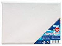 Algopix Similar Product 17 - Stylex 13 x 18 cm Canvas Board
