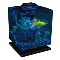 Algopix Similar Product 9 - GloFish Betta Aquarium Kit 15 Gallons