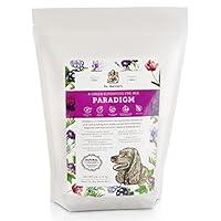 Algopix Similar Product 11 - Dr Harveys Paradigm Green Superfood