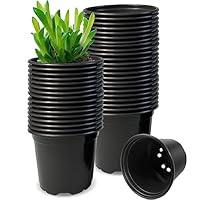 Algopix Similar Product 5 - RAOOKIF 50 Pack Nursery Pots 3 Inch