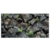 Algopix Similar Product 9 - Dizifinn Stone Aquarium Background