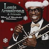 Algopix Similar Product 19 - What A Wonderful Christmas