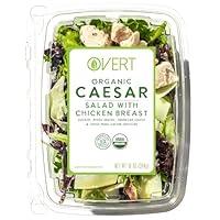 Algopix Similar Product 5 - Overt Organic Caesar Salad with