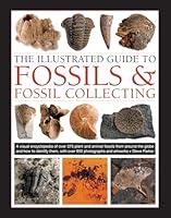 Algopix Similar Product 17 - The Illustrated Guide to Fossils 